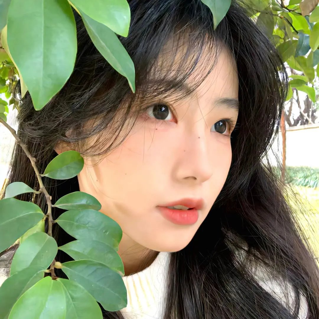紧急盯梢令